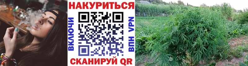 Где купить Мосальск Alpha-PVP Меф мяу мяу Гашиш блэк спрут ONION Cocaine МАРИХУАНА